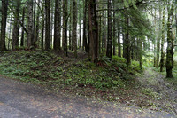 Saddle Mt Rd-0309