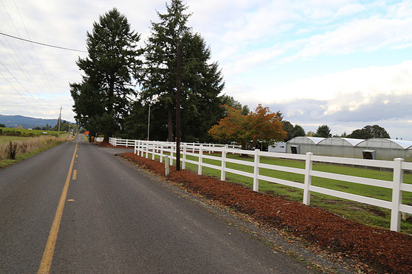 Dilly Rd-1537