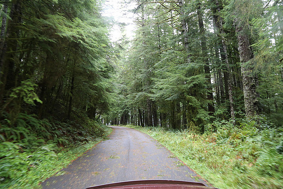 Saddle Mt Rd-0339