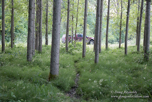 LCG & GWG Tree Farm