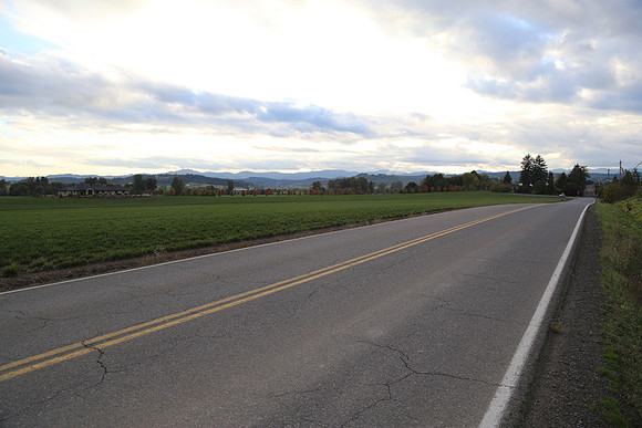 Morres Valley Rd-1672