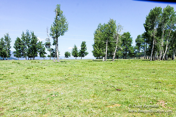 Ranch 18