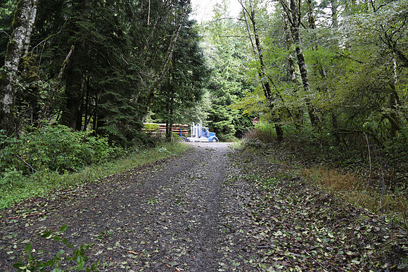 Shields Rd-0151