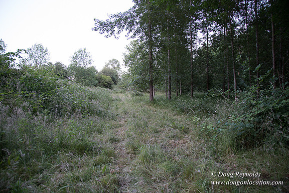 LCG & GWG Tree Farm