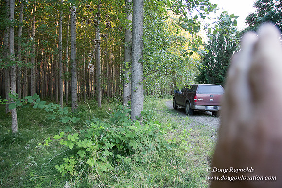 LCG & GWG Tree Farm