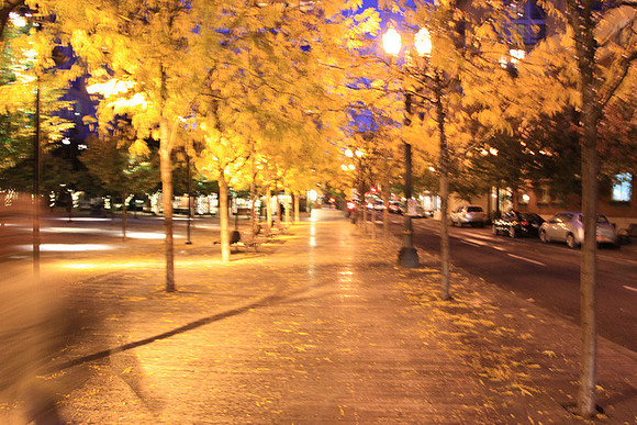Jamason Park-6584
