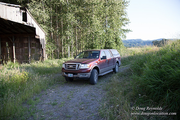 LCG & GWG Tree Farm