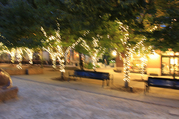 Jamason Park-6554