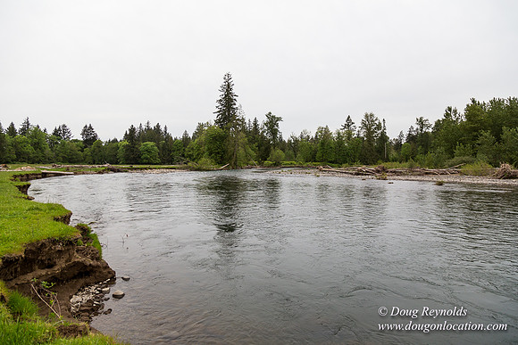 Ranch 21 at River
