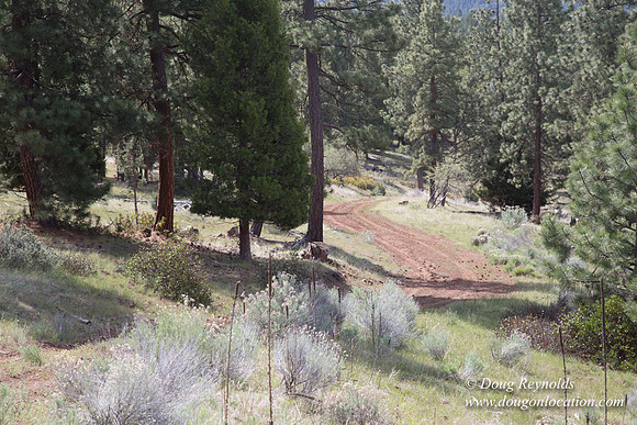 Ranch 18