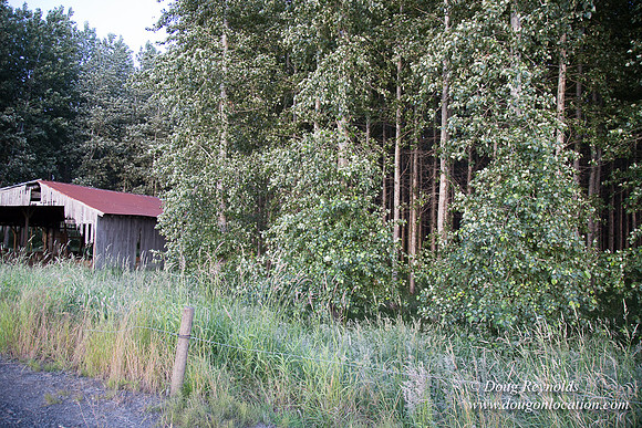 LCG & GWG Tree Farm