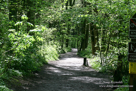 Tryon State Park