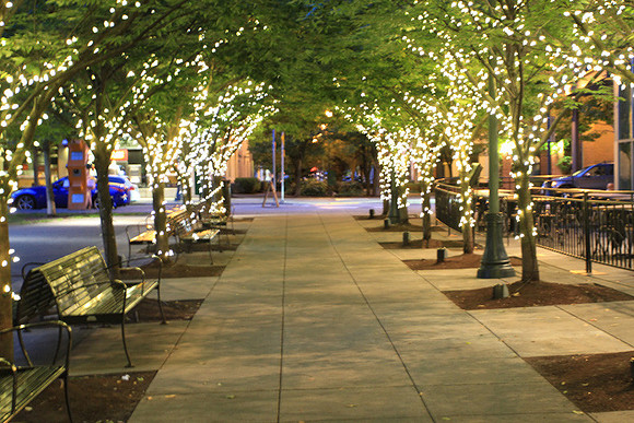 Jamason Park-6552