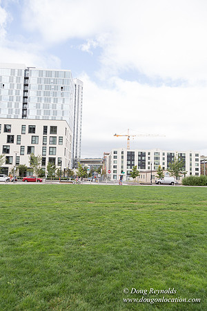 The Fields Park