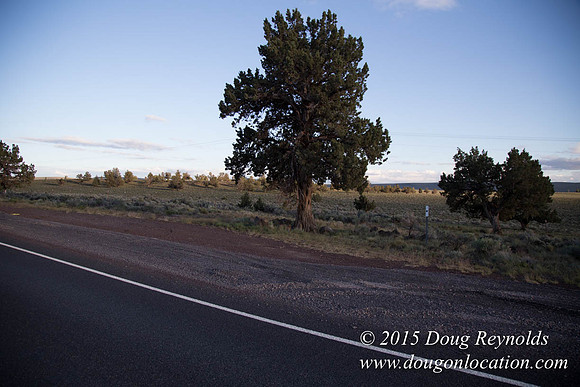 Hwy 20 at mp40
