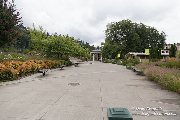 Portland Streets