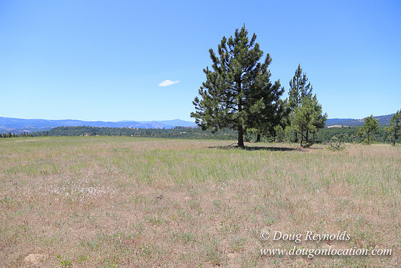 Brothers Ranch-8496