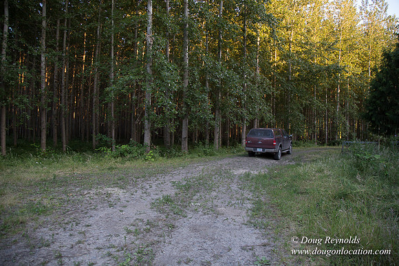 LCG & GWG Tree Farm