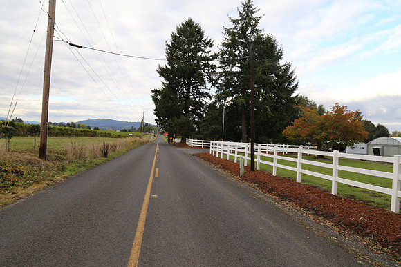 Dilly Rd-1536
