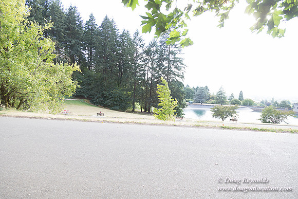 Mt Tabor- View 5 SBT West
