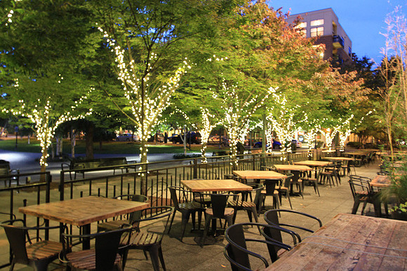 Jamason Park-6569