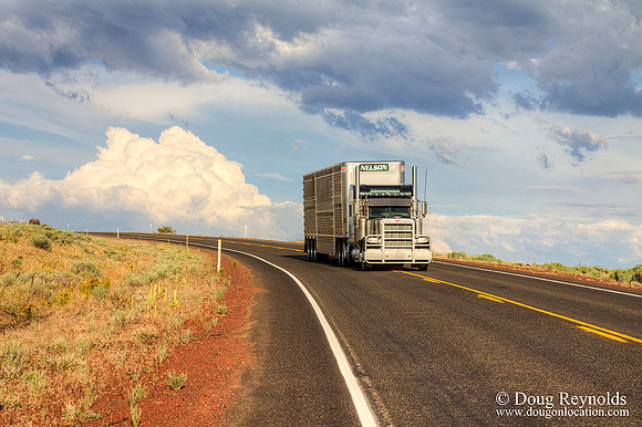 Semi Truck with Cattle traile