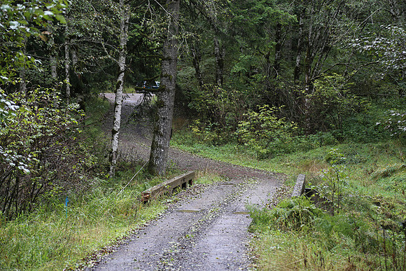 Shields Rd-0158