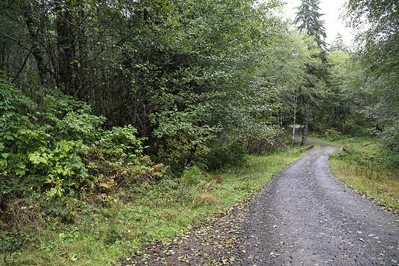 Shields Rd-0156
