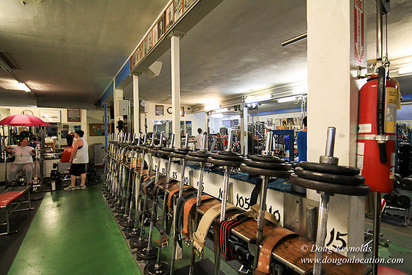 Work Out Gym #7