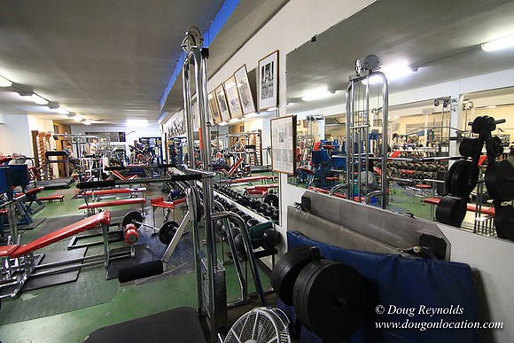 Work Out Gym #7