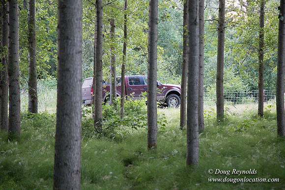 LCG & GWG Tree Farm