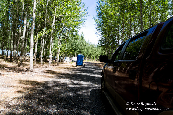 Tree Farm