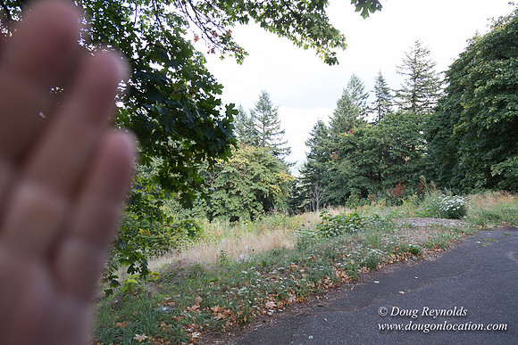 Mt tabor View 2 East