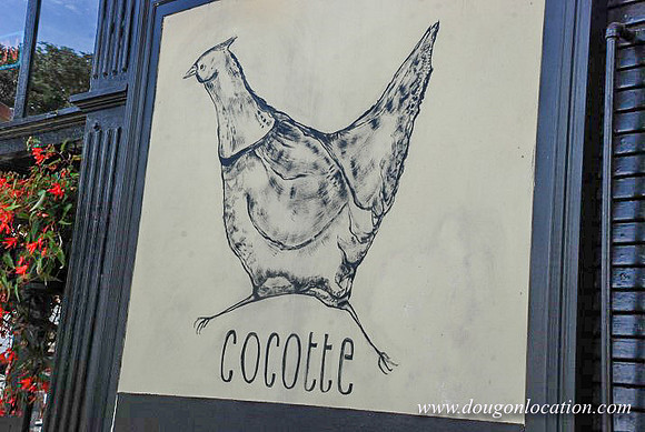 Cocotte