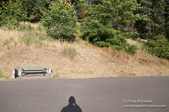 Mt Tabor- View 4 West
