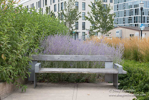 The Fields Park