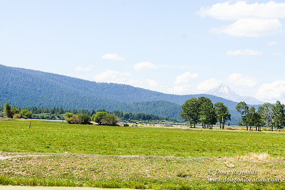 Ranch 18