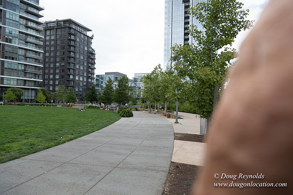 The Fields Park