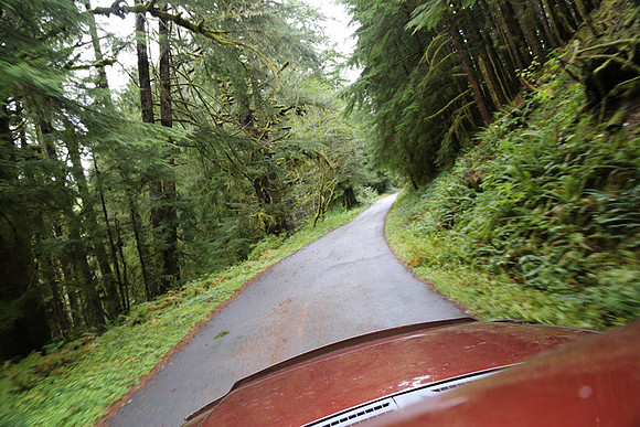 Saddle Mt Rd-0332