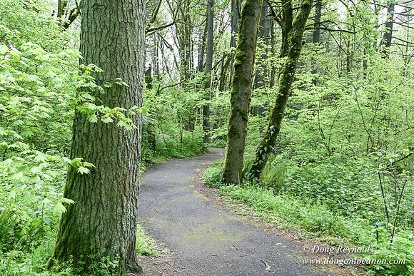 Tryon State Park