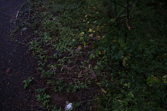 Hwy 53-0383