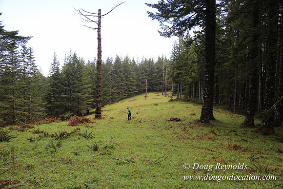Ross on Fairview Mt Rd-1905