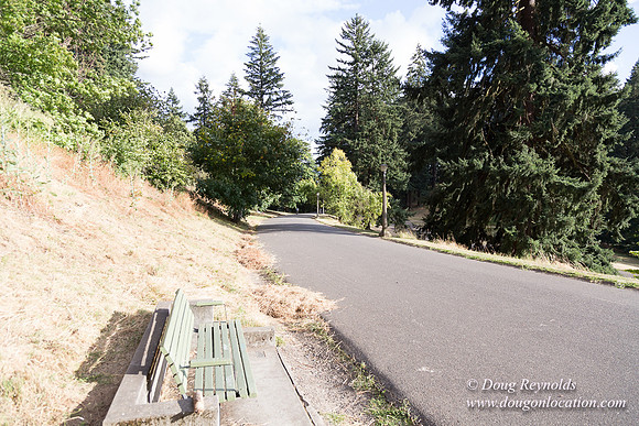 Mt Tabor- View 4 West