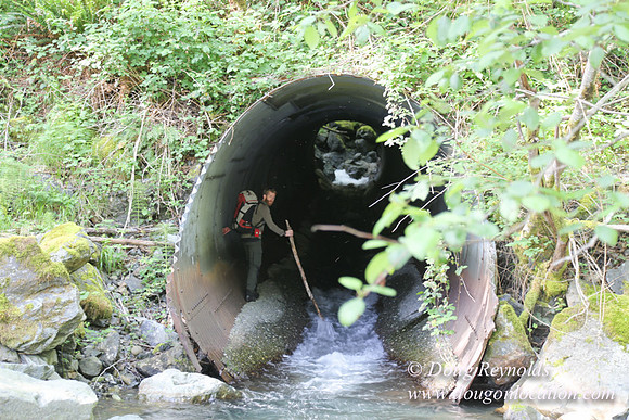 Ross on Jerry Flt Creek-2569