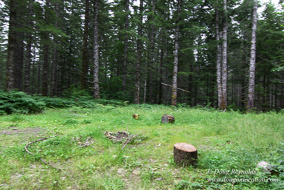 Tree & Forested locations