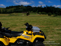 Ranch 6