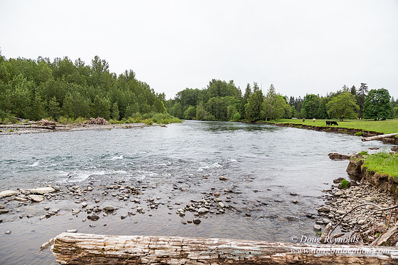 Ranch 21 at River