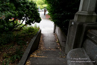 VIsta Bridge