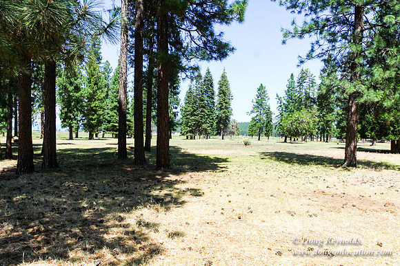 Ranch 18