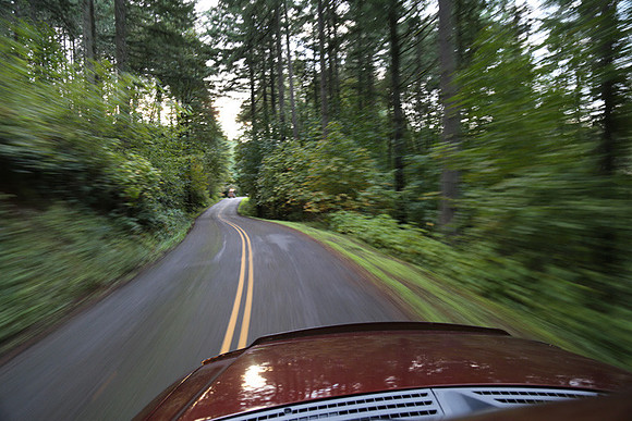 Woodland Ln-1754